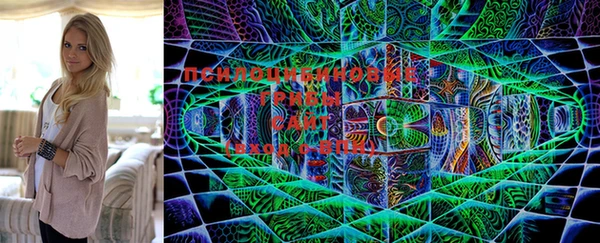 стафф Михайлов