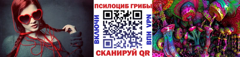 omg ONION  Зверево  Галлюциногенные грибы MAGIC MUSHROOMS 